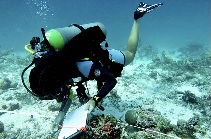 Palau az első ország, ahol betiltották a környezetszennyező naptejeket