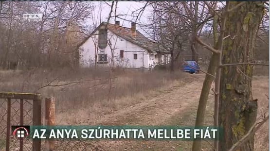 Mindent beismert a 11 éves fiát megkéselő szabadszállási nő