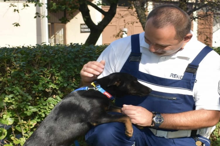 A motorja után kötve vonszolta kutyáját egy zempléni férfi