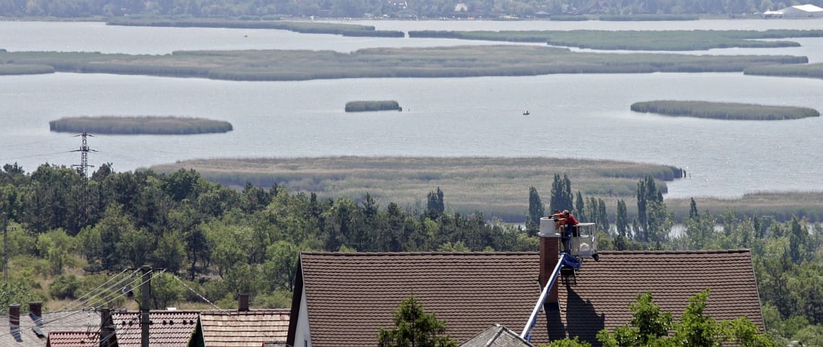 Elindult Gyurcsány sukorós honlapja 