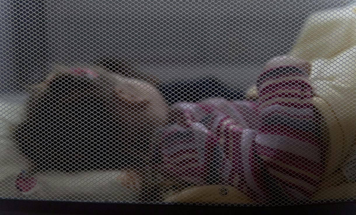 Vádat emeltek azzal a nevelőanyával szemben, aki halott fia holttestével a csomagtartóban napokig keringett, mielőtt feladta magát