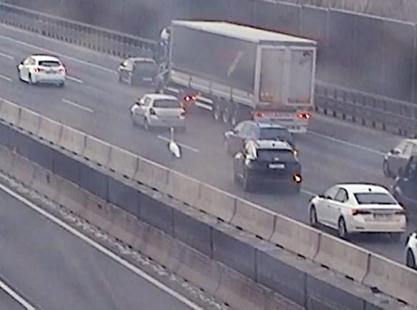 Egy hattyú lassította a forgalmat az M0-son – videó
