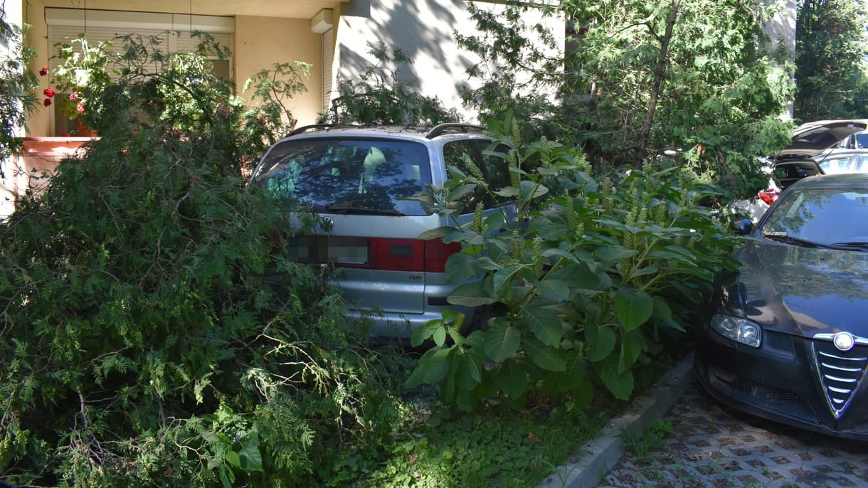 Főnöke autójával indult sörért, a fal állította meg