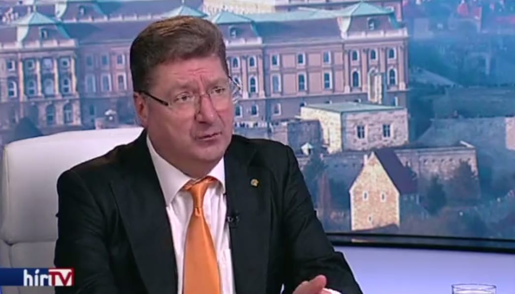 A hajdani Csempekirály, aki nekiment a gimnáziumoknak: Parragh László portréja