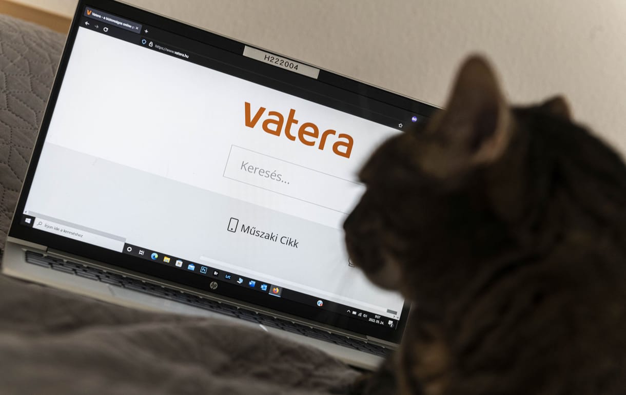 A nyomtatókat, a szerszámokat és a kerti gépeket viszik a legjobban a Vaterán