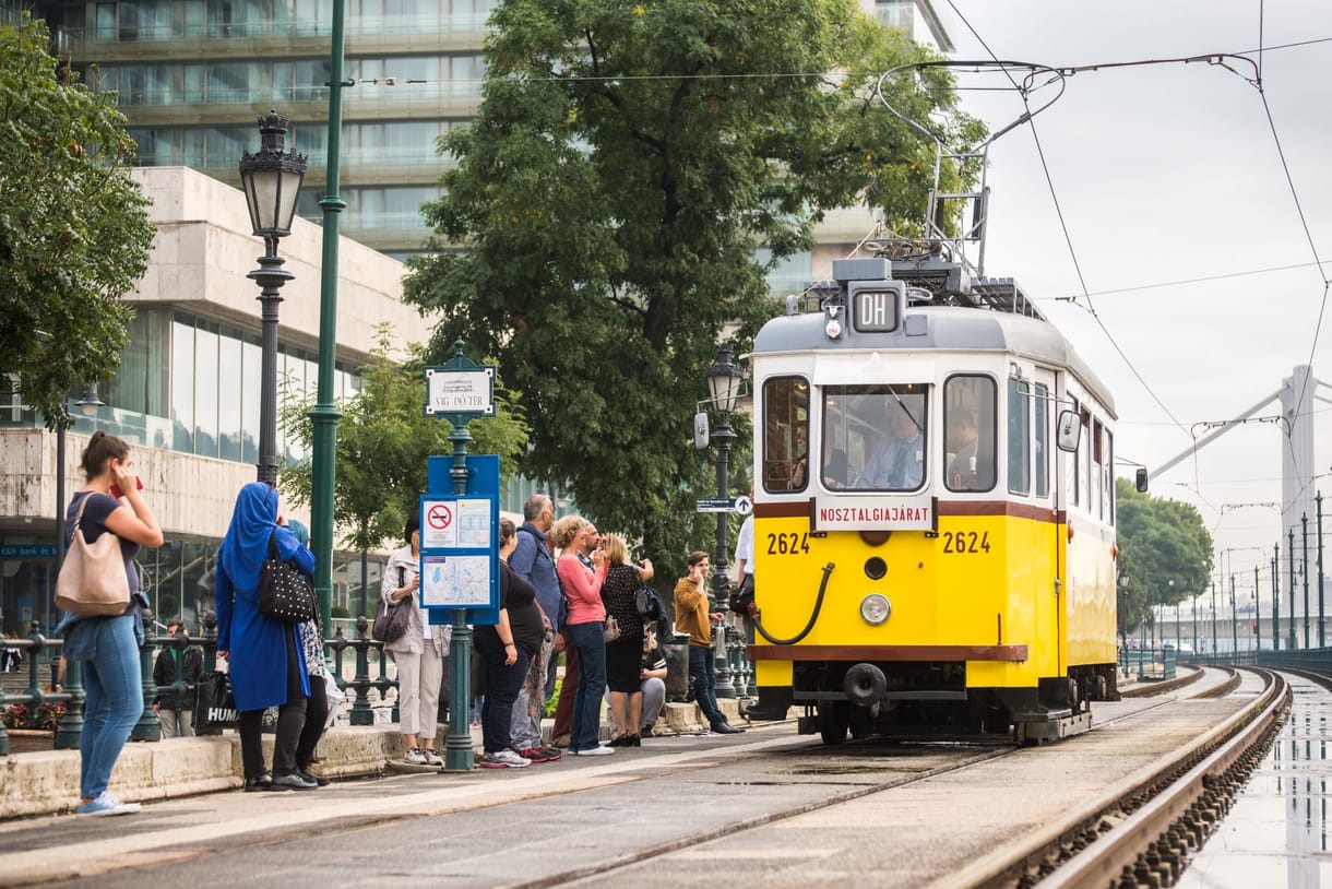 Már a kutyáknak is lehet bérletet venni a BudapestGO-val