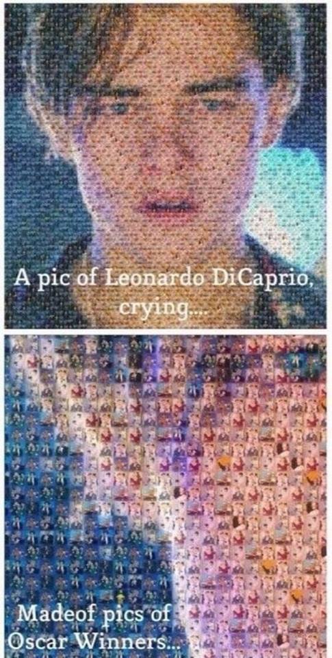 Ezen a képen ön is együtt fog sírni Leonardo DiCaprióval
