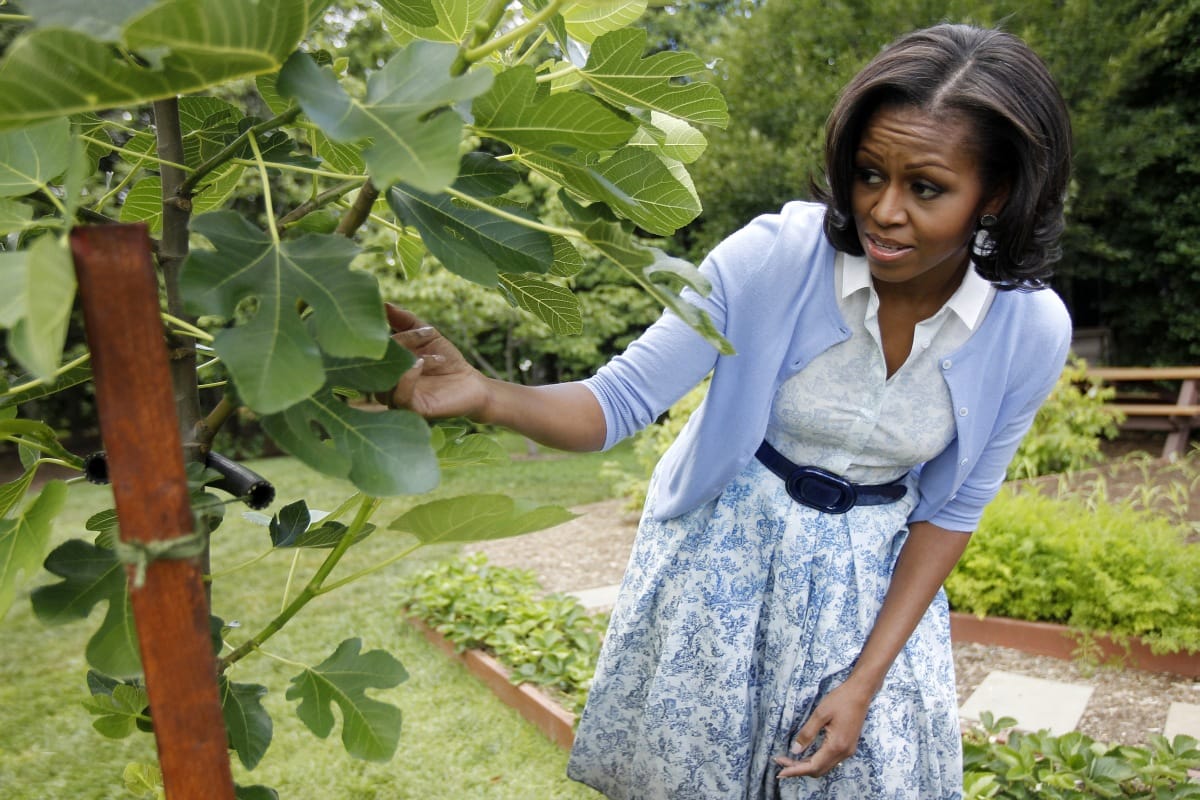 Csúnya rasszista poént sütött el Obama feleségével kapcsolatban egy bohóc