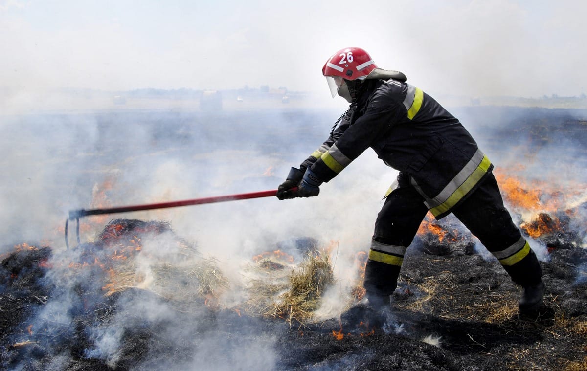 Terjednek az erdőtüzek, fokozott veszélyre figyelmeztet a hatóság