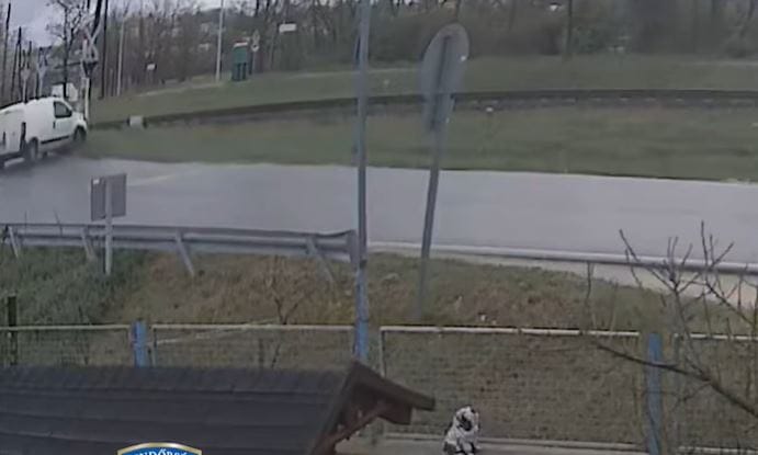 Keresik a furgonost, aki „piruettezve