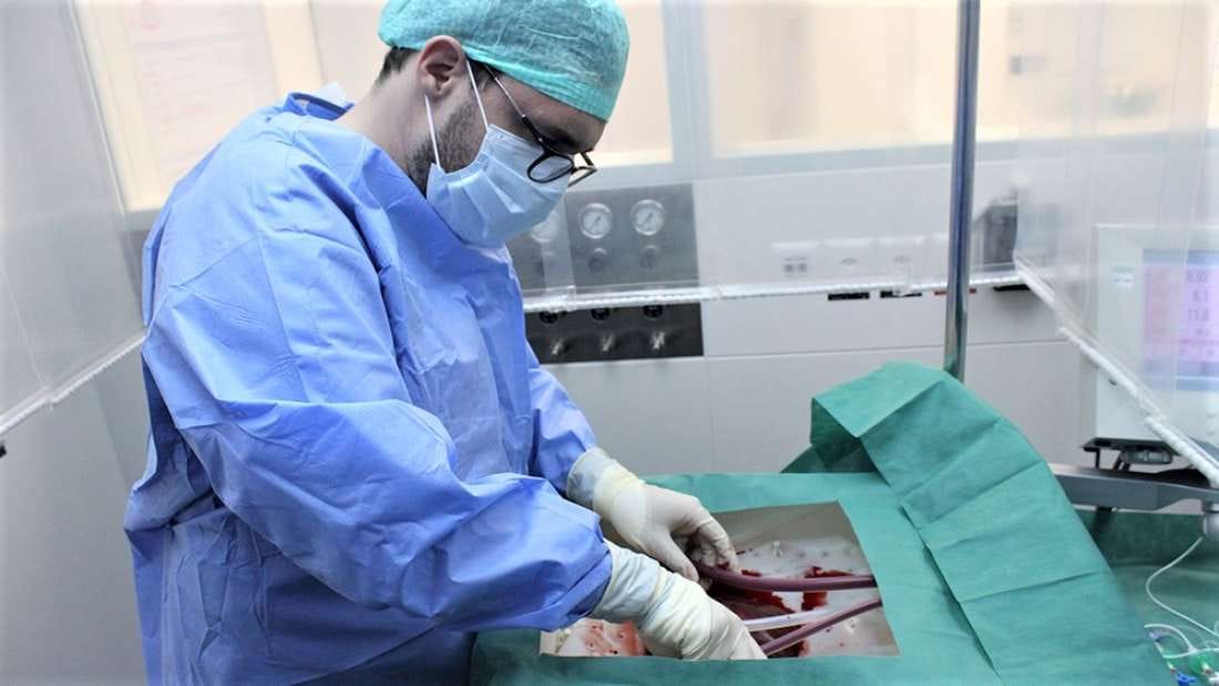 Meggyógyítja és egy hétig óvja a testen kívüli májat egy új orvosi eszköz