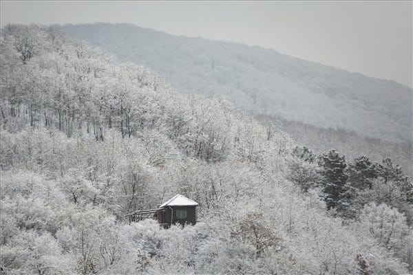 Mindennap esni fog valami a jövő héten