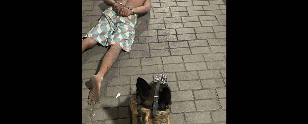 Megerőszakoltak egy nőt Pomázon, de le tudták fotózni a tettest