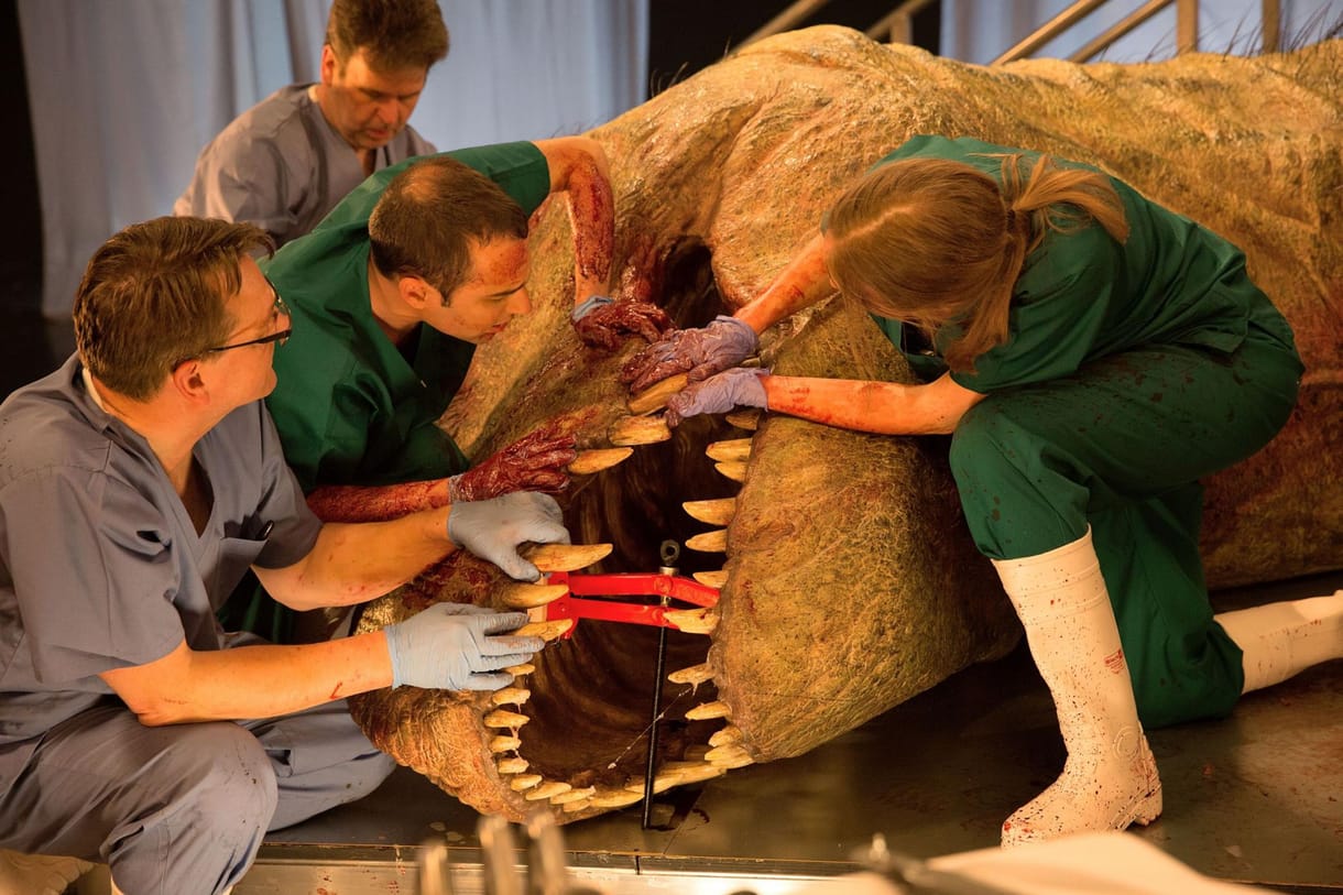 Óriási T.-rex-koponyára bukkantak Amerikában