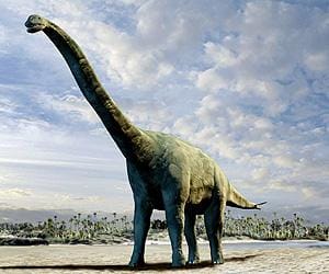 Eljött a dinoszauruszfosszília-Kánaán Kínában