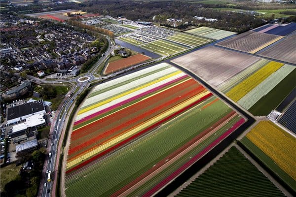 Havazás: a holland tulipánok jól vannak – légi fotók