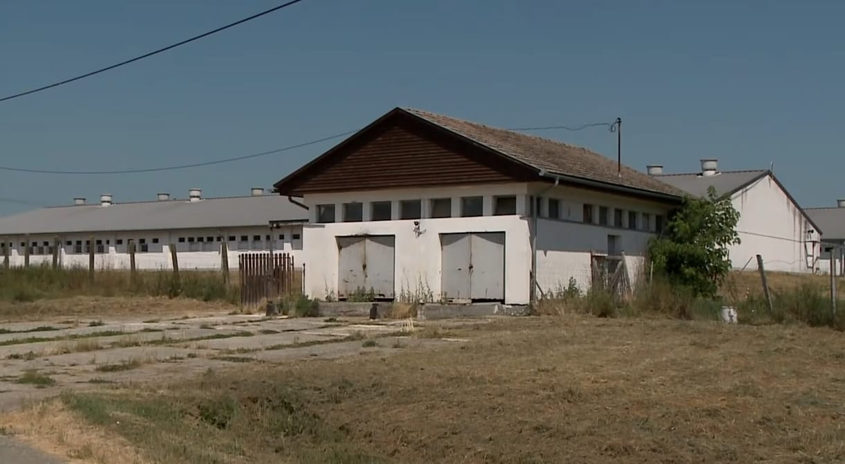 Kollégája mentése közben meghalt egy fiatal férfi Barcson