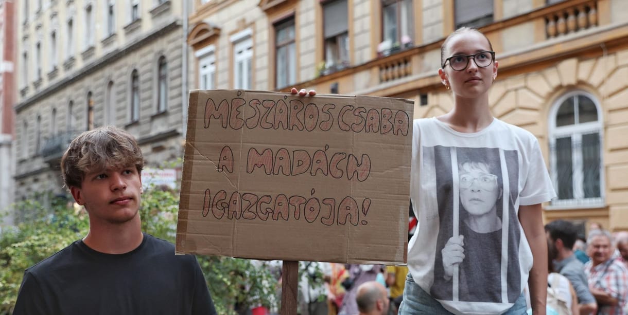 Fülke: „Most az oktatási kormányzat szemétkedik, piszkálja a pedagógusokat és a gyerekeket”