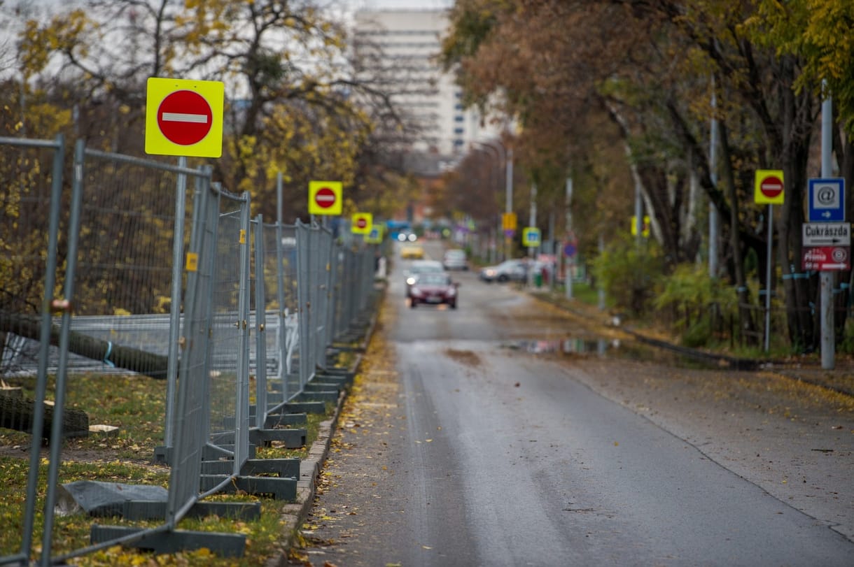 A BKK szerint az Etele úti fasor átmeneti jellegű volt régen, csak azóta megnőtt