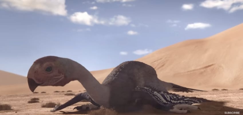 Rájöttek, hogyan keltette ki tojásait egy dinoszaurusz