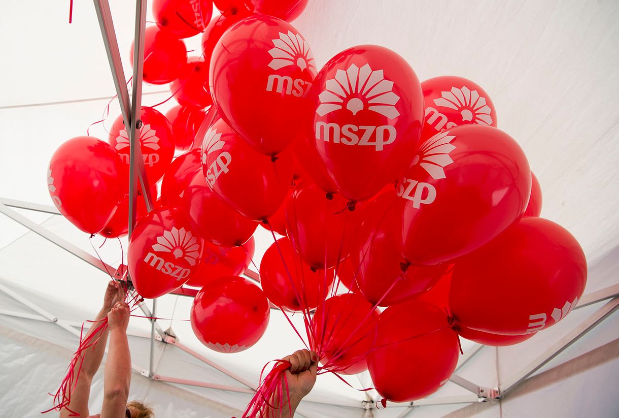 Egy napja bejegyzett, MSZP-s tulajdonú kft.-től rendelt 35 millióért elemzéseket az MSZP