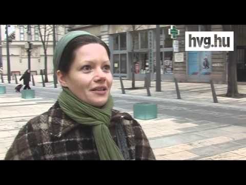 Videó: Legyen-e szavazati joguk a háziállatoknak?