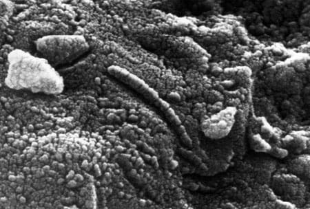 Meteoritokkal érkezhetett a DNS a Földre