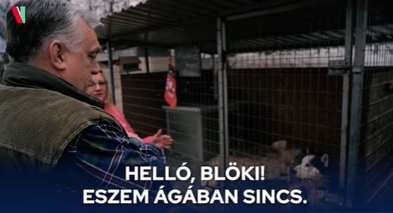 Helló, Blökik – Orbán Viktor kutyákkal tett jót karácsony előtt