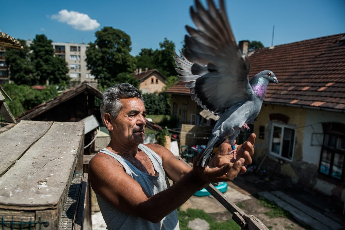 Brüsszelnek nem tetszik, ahogy Miskolc kiüríti a számozott utcákat