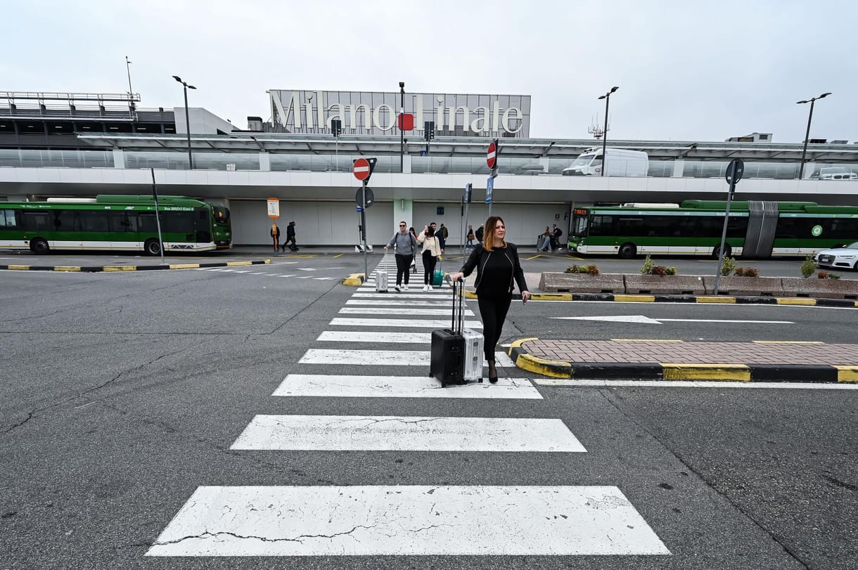 Egy légitársaság ingyen utazást ajánlott fel annak, aki örökbefogad egy kiscicát 