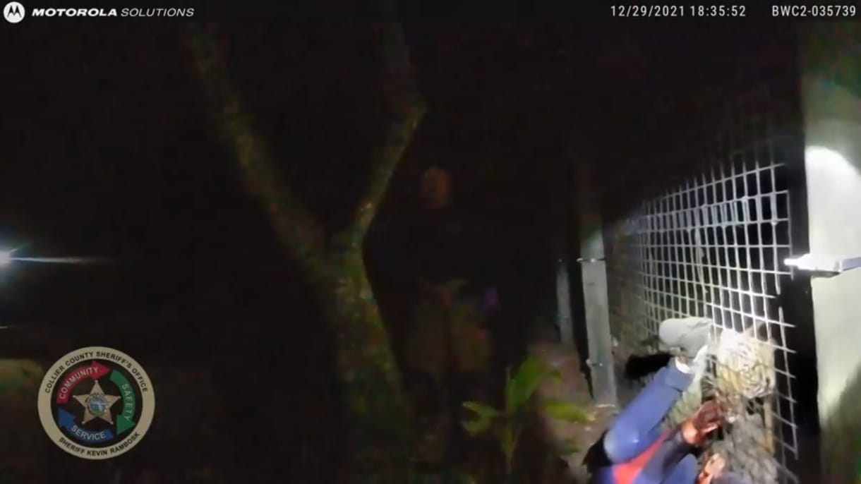 Videón, ahogy meglövik a takarítóra támadó tigrist