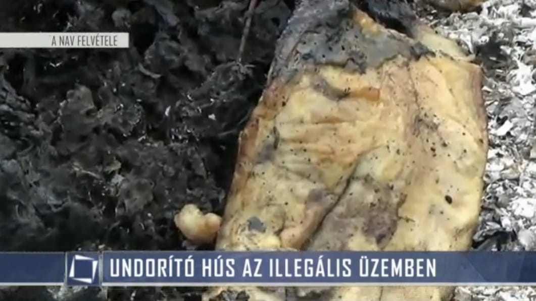 700 kiló undorító hús bűzlött a békési üzemben