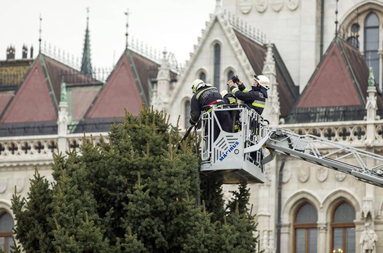 Veszprémből érkezett a Parlament elé az ország karácsonyfája – fotók