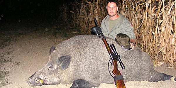Fotó: gigantikus vadkant lőttek Baranyában