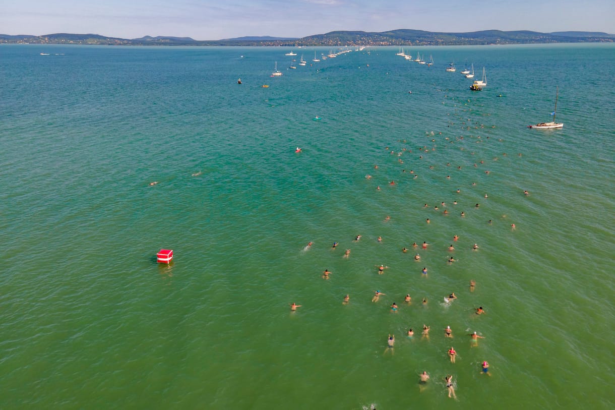 Májustól miniszteri biztos óvja a Balaton élővilágát
