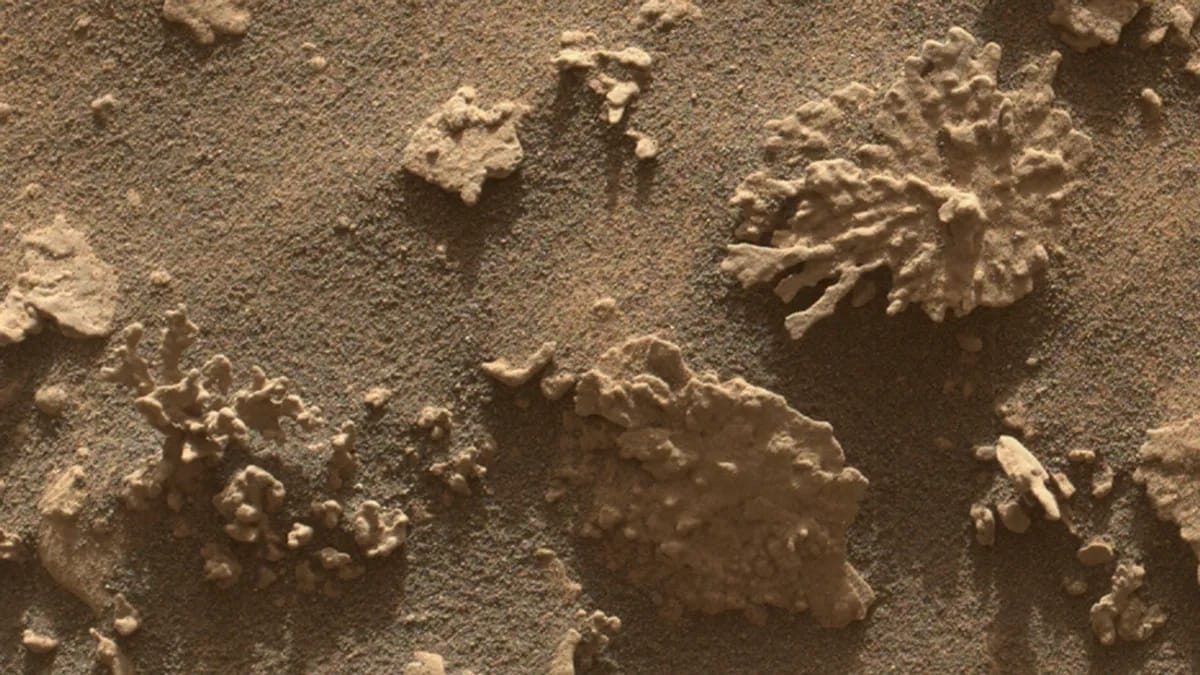 Ősi víz jelenlétére utal egy nagyon furcsa szikla, amit most talált meg a NASA a Marson