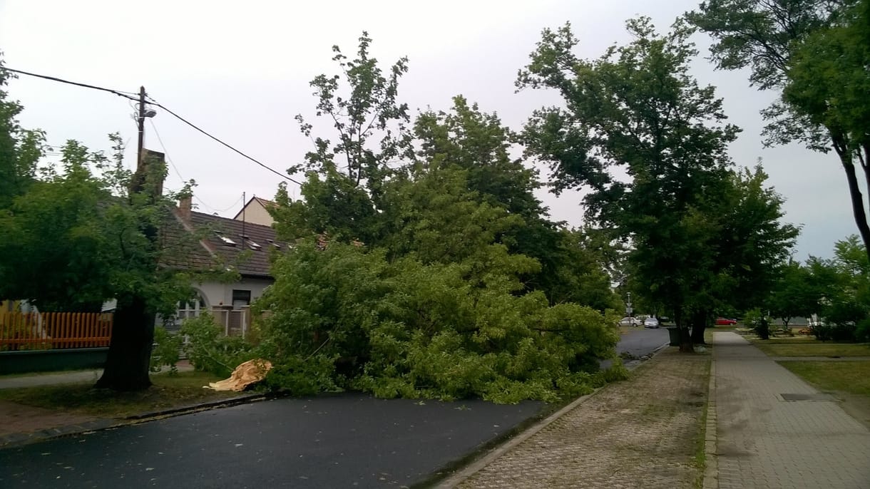 Vihar: fizethet az Elmű, ha még mindig nincs áram
