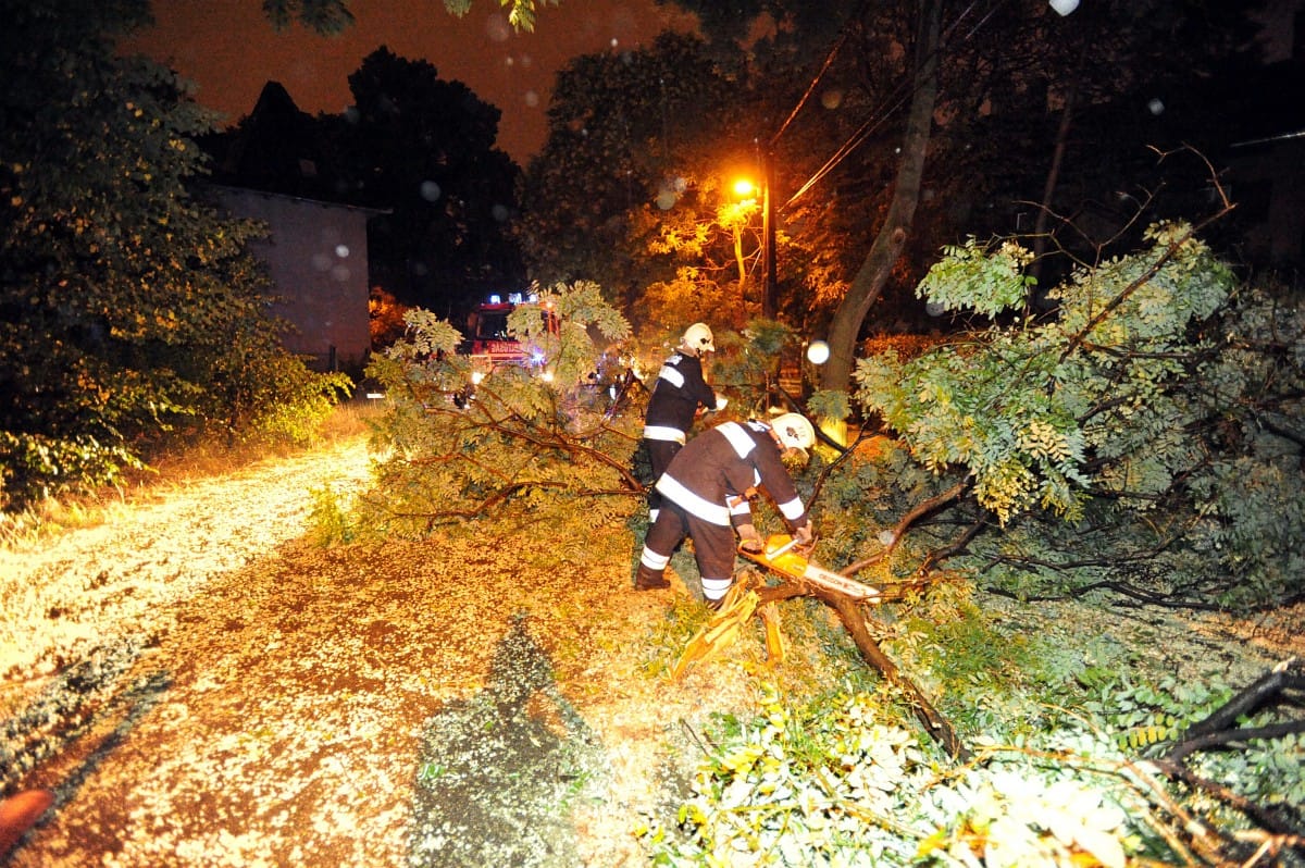 Vihar: fák dőltek a sínekre, késnek a vonatok