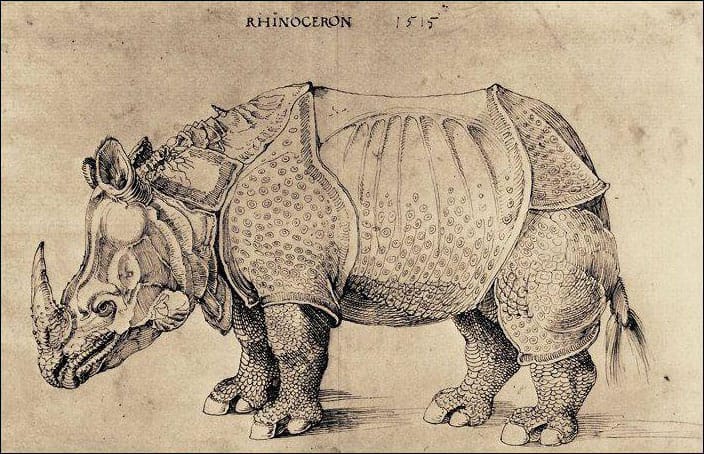 Hatalmas Dürer-kiállítást rendeznek Bécsben