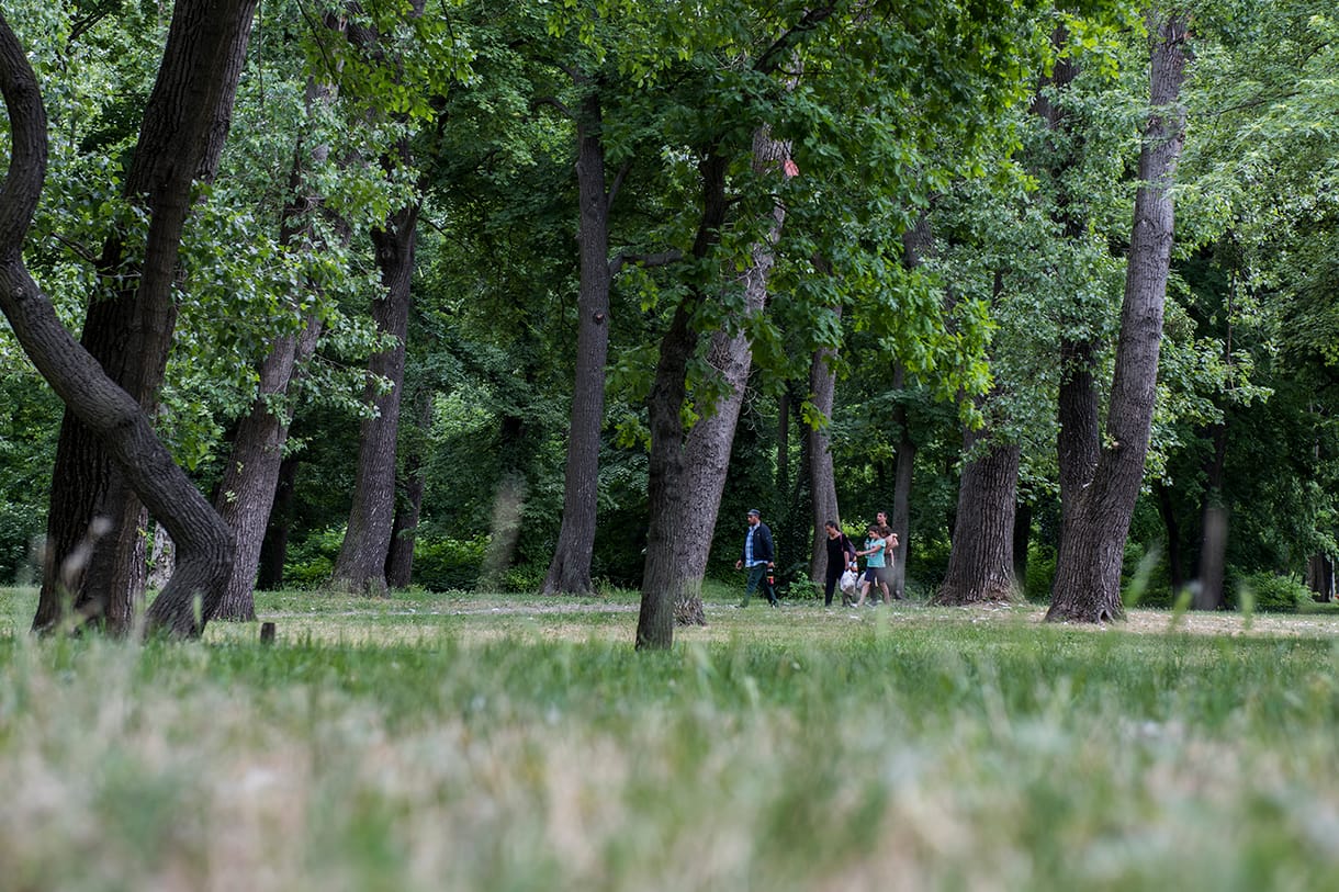 Véget vet a Népligetben parkolgatásnak a BKK