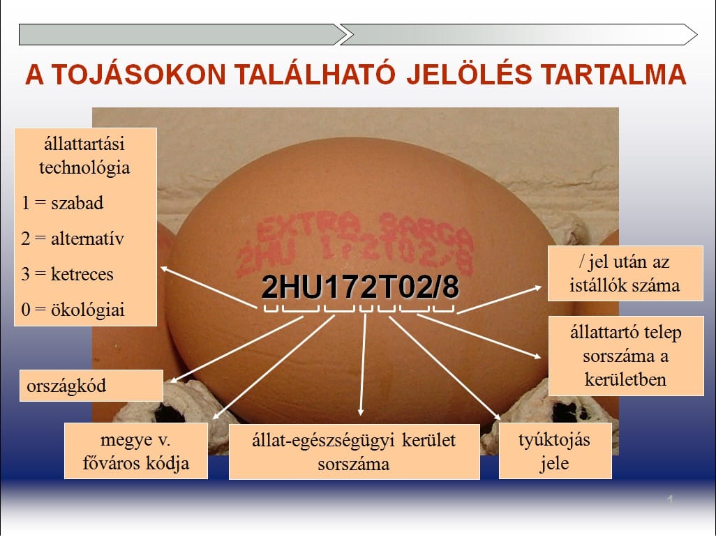 Amit a tojások jelöléséről tudni kell