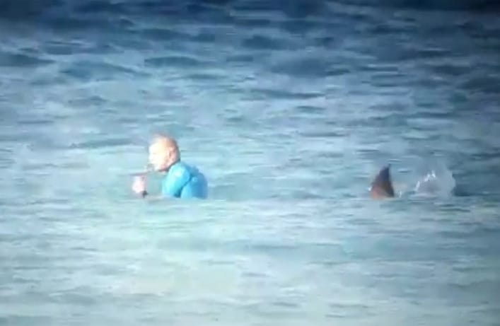 Élő adásban támadt cápa egy ausztrál szörfbajnokra – videó