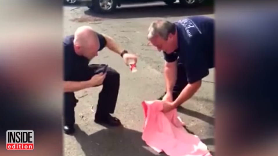 Ez történik, ha egy mókus feje beszorul egy műanyag pohárba – videó