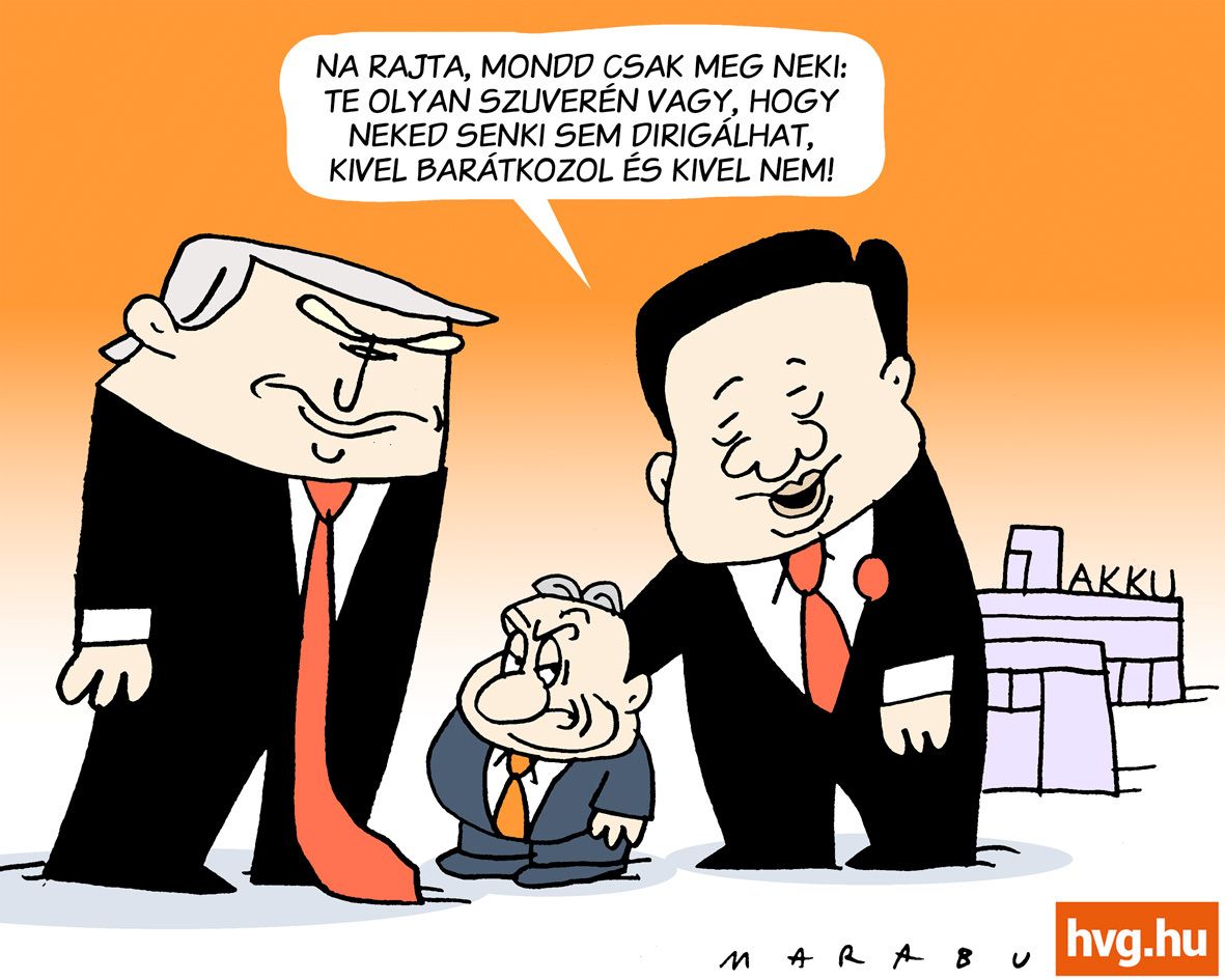 Marabu Féknyúz: Te olyan szuverén vagy