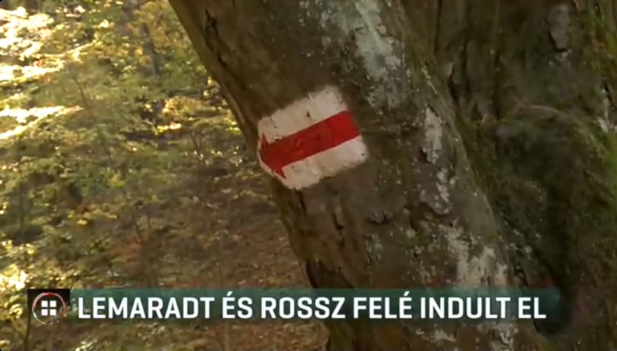 Lemaradt és rossz felé indult a túrázó diák a Bakonyban, rendőrök találtak rá