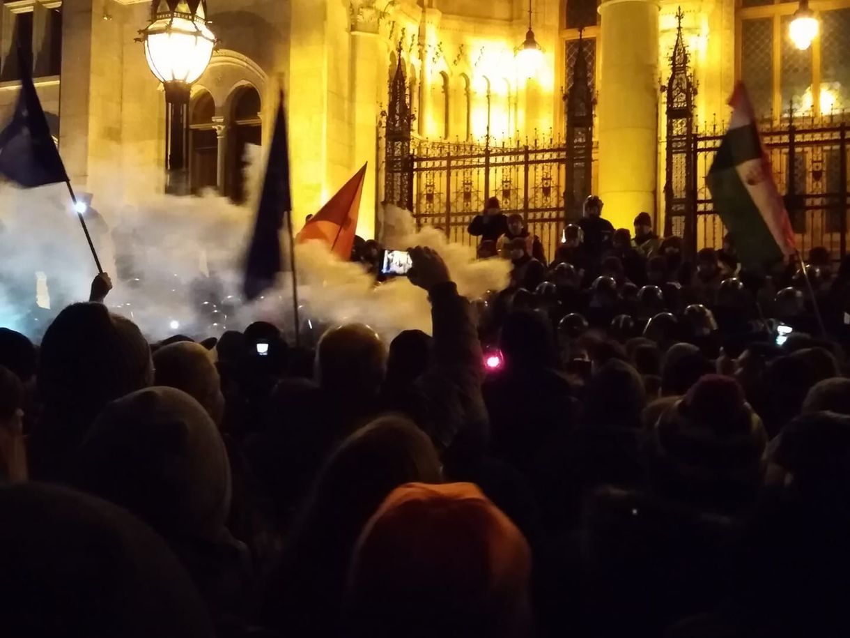 Tökéletes fricska a Kutyapárttól a köztévének