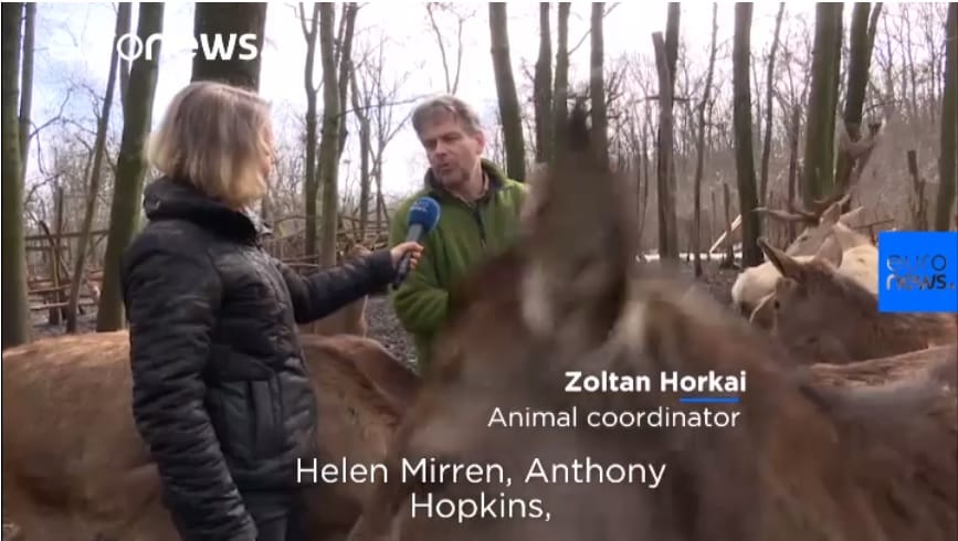 Kulisszatitkokat árult el a Testről és lélekről állatkoordinátora