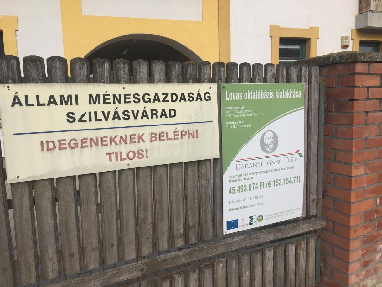 Nyomoznak a lovarda miatt, ahol gyerekek helyett csak az államtitkár vejét találtuk
