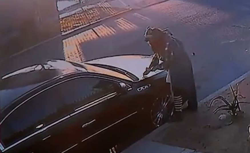 6(!) órán keresztül rongálta az autót egy amerikai nő, és senki nem állította meg – videó