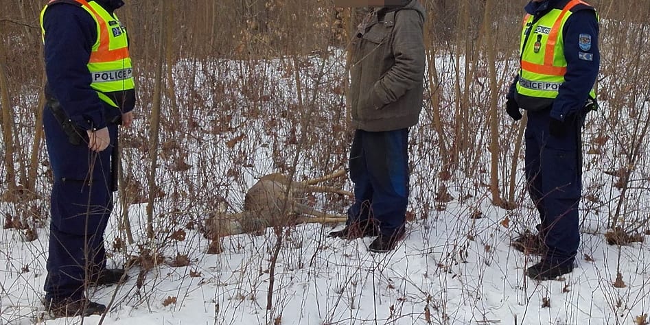 Hurokkal megfogott és agyonvert egy őzet